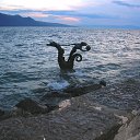   -     ,     .         :     ()  -     ;           