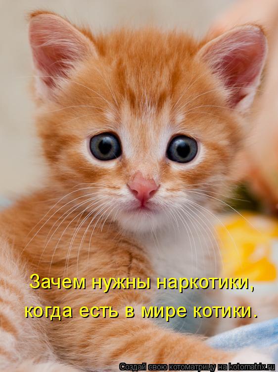   :3 - 1  2014  13:08