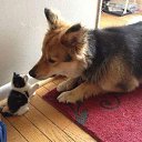  , -, 61  -  17  2014    