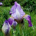 1.06.2014 �� ������� �����ܻ