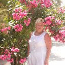 ���� ����, ����� - ��������� 1 ������� 2014 � ������ ����л