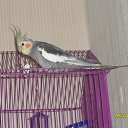 ���� ������, ������, 69 ��� - ��������� 7 ���� 2014