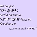 ���� �����, ������������ - ��������� 8 ������ 2014 � ������ ������ ��������