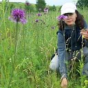 ���� ������, ����������, 59 ��� - ��������� 24 ���� 2014 � ������ ���� ����������