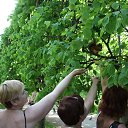 ���� ������, �����-���������, 65 ��� - ��������� 30 ���� 2014 � ������ ���� ����������