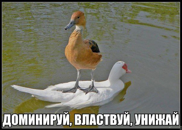     <a href=