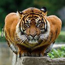 ���� �������, �����-��������� - ��������� 13 ���� 2014 � ������ ������ ��������