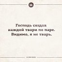 ���� ���������, ����������� - ��������� 15 ��� 2014 � ������ ������ ��������