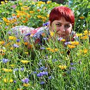 ���� �������, �������������, 50 ��� - ��������� 11 ������� 2014 � ������ ���� ����������