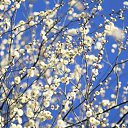 ���� ����, ������� ����� - ��������� 14 ������� 2014 � ������ ���� ����������