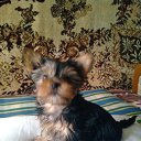 ���� ������, �����������, 75 ��� - ��������� 18 ��� 2014 � ������ ���� ���� ������