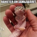 ���� ����, ������-��-����, 59 ��� - ��������� 8 ���� 2014 � ������ ������ ��������