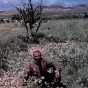 ���� Kamel, �����, 44 ���� - ��������� 7 ������ 2014 � ������ ���� ����������