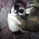 ���� ���������, �����������, 31 ��� - ��������� 29 ���� 2014 � ������ ���� ����������