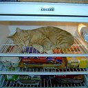 ���� �������, ������, 64 ���� - ��������� 7 ���� 2014 � ������ ������ ��������