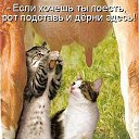 ���� �����, �������� - ��������� 19 ����� 2014 � ������ ���� ����� ����!�