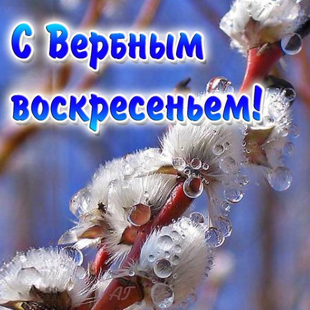  - 13  2014  16:59