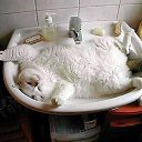 ���� �����, ������, 46 ��� - ��������� 3 ���� 2014 � ������ ������ ��������