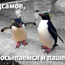 ���� ������, ������ - ��������� 13 ������� 2014 � ������ ������ ��������