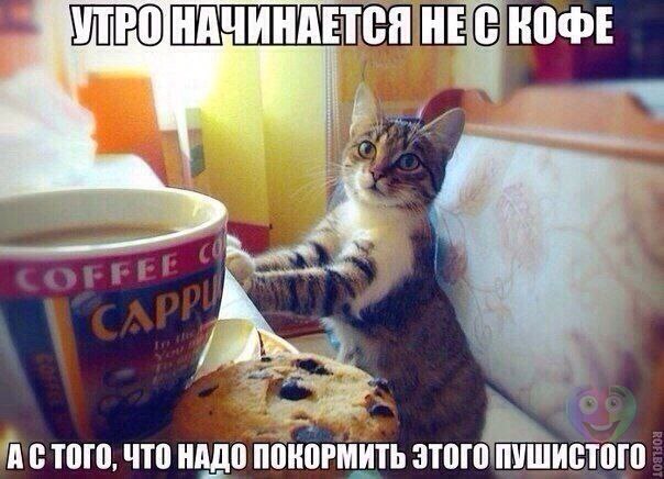 Art & Fun - 16  2014  17:50