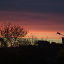 ���� �������, �����������, 36 ��� - ��������� 30 ��� 2014 � ������ ��� �� �������