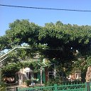 ���� Makaterine, �������, 54 ���� - ��������� 20 ������� 2014 � ������ �makri�