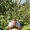 ���� �������, ������, 43 ���� - ��������� 11 ������ 2014 � ������ ���� ����������