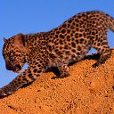 ���� ==Elena==, ������� - ��������� 2 ���� 2014 � ������ ���� ����������