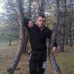 ���� �����, ������, 44 ���� - ��������� 28 ��� 2014