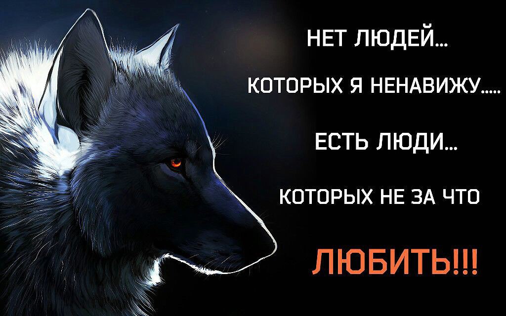  - 10  2014  21:11