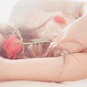 ���� �����, ���������, 49 ��� - ��������� 4 ������ 2014 � ������ ������ ��������