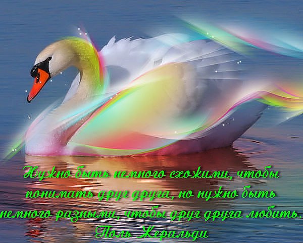  - 21  2014  18:56