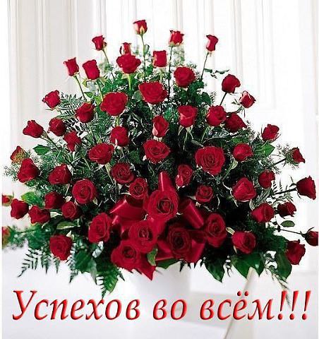 ...[a]_voe_so Le... - 11  2014  08:52
