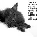 ���� &hearts; ������� &hearts;, ������ - ��������� 6 ���� 2014 � ������ ������ ��������