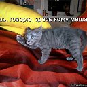 ���� *����, ��������, 59 ��� - ��������� 22 ��� 2014 � ������ ����