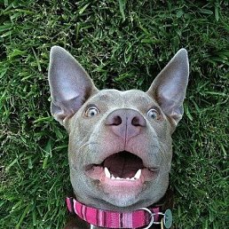 ���� ��������, ������ - ��������� 31 ���� 2014