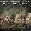 ���� ����������, ���� - ��������� 7 ������� 2014 � ������ ���� ����������