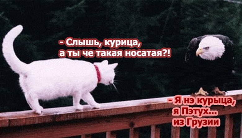  - 6  2014  21:13