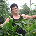 ���� ���������, �������, 68 ��� - ��������� 18 ������� 2014 � ������ ���� ����������