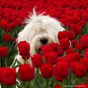 ���� �����, �������, 41 ��� - ��������� 10 ������ 2014 � ������ ������ ��������