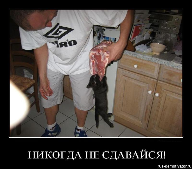 �������������� �� ���: <a href=