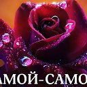 ���� ���������, ��������, 49 ��� - ��������� 26 ������ 2014 � ������ ������ ��������