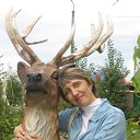 ���� ����, ���������, 53 ���� - ��������� 20 ������ 2014