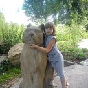  ,  , 23  -  16  2014    