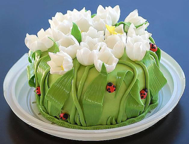 �������� ������ !!!!!!