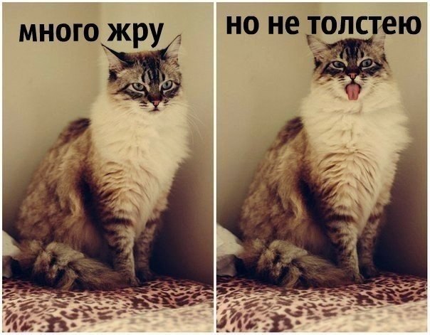    |   - 19  2014  09:00