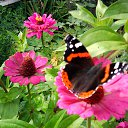 ���� ������, ������ - ��������� 13 ������� 2014 � ������ ���� ����������