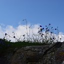 ���� �������)), �����-���������, 59 ��� - ��������� 17 ������� 2014 � ������ ����������