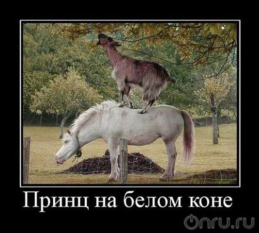    ))))))))