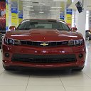 ���� �������, ������, 44 ���� - ��������� 19 ������� 2014 � ������ ���� ����������